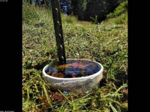 Reliable Drain Blockage Removal