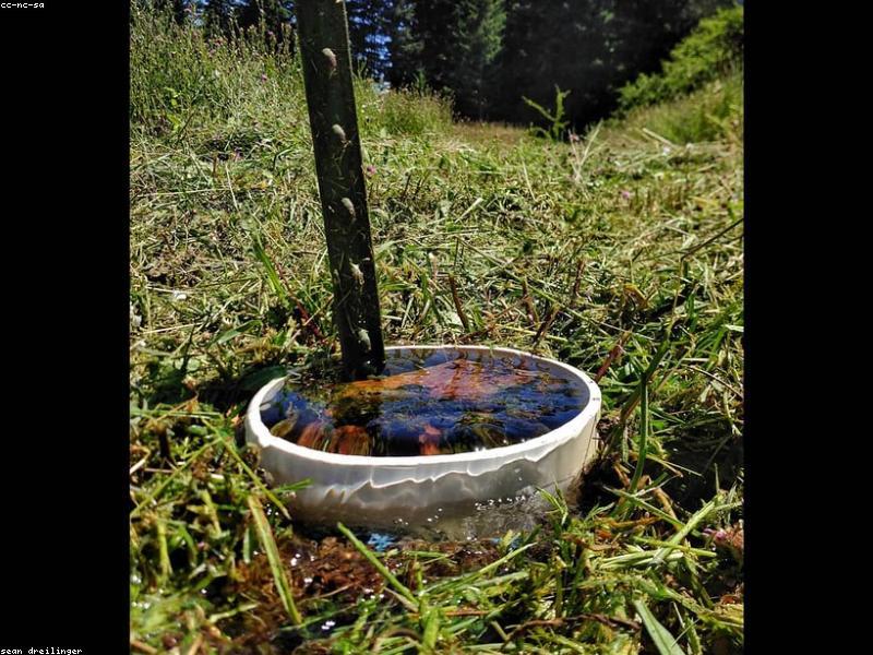 Reliable Drain Blockage Removal